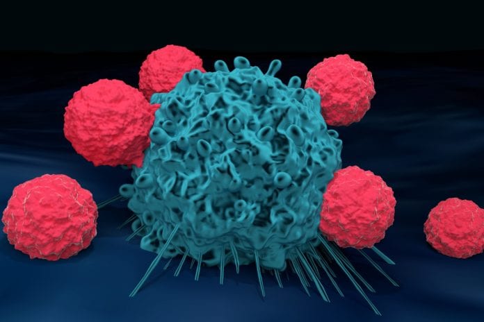 immune system T cell killing a cancer cell illustration