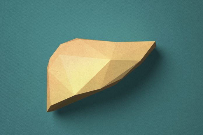 paper crafted liver