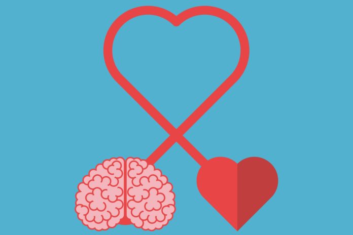 brain heart connection illustration
